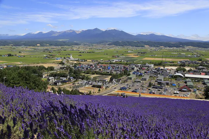 画像引用：北星山ラベンダー園